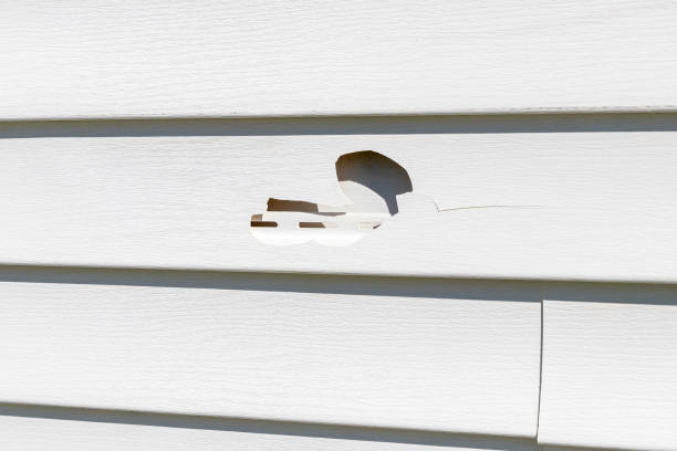 Affordable Siding Repair and Maintenance Services in Pleasant Ridge, MI